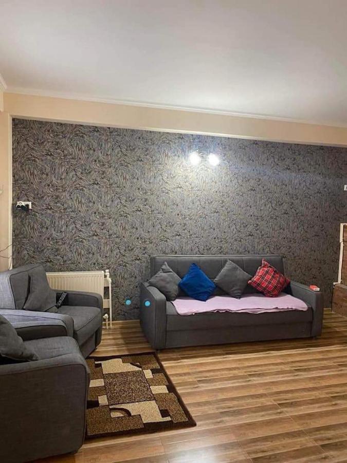 Bakuriani Resort Cottage 1 Storey מראה חיצוני תמונה